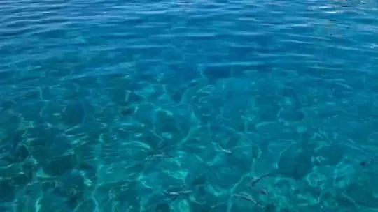 Anima Maris Yacht 보트호텔 *