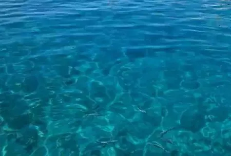 Anima Maris Yacht Bateau-hôtel *